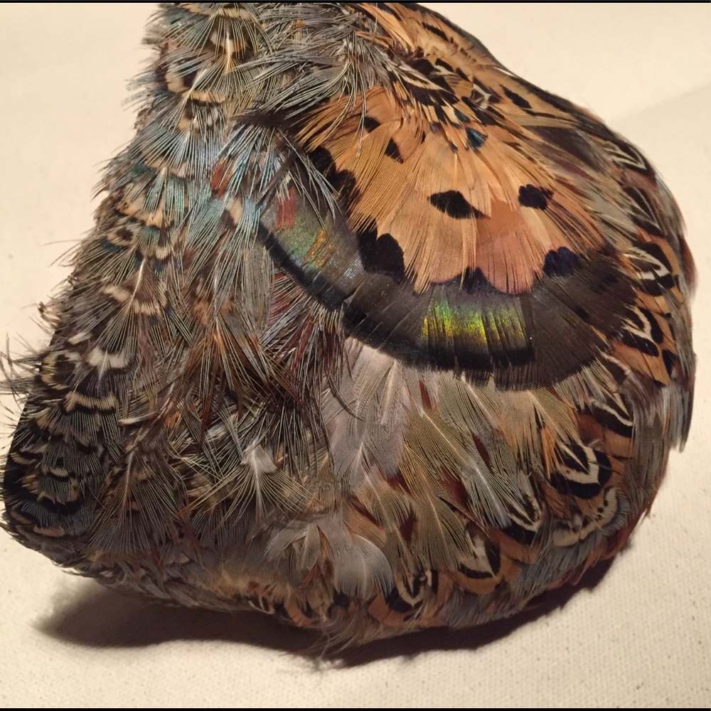 Vintage looking feather hair fascination, hairband